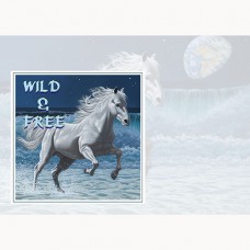 MAGNE-CARD GREETING CARD Wave Runner